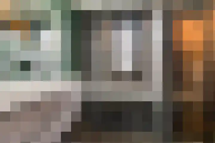 Honingbij 3 Waddinxveen thumbnail 26