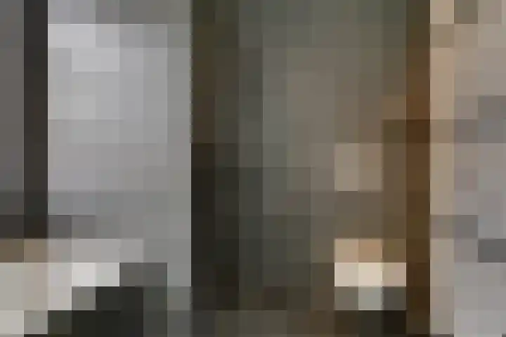 Honingbij 3 Waddinxveen thumbnail 27
