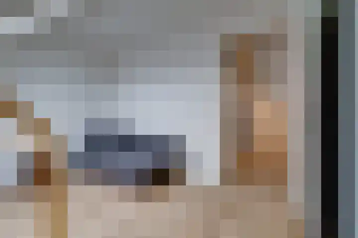 Honingbij 3 Waddinxveen thumbnail 31