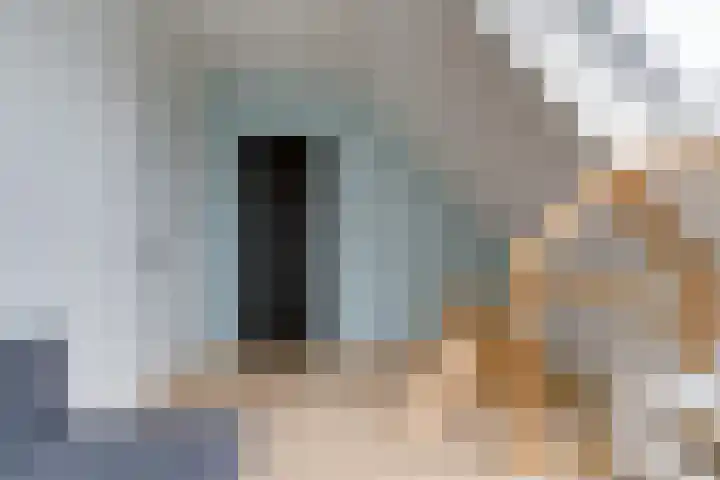 Honingbij 3 Waddinxveen thumbnail 32