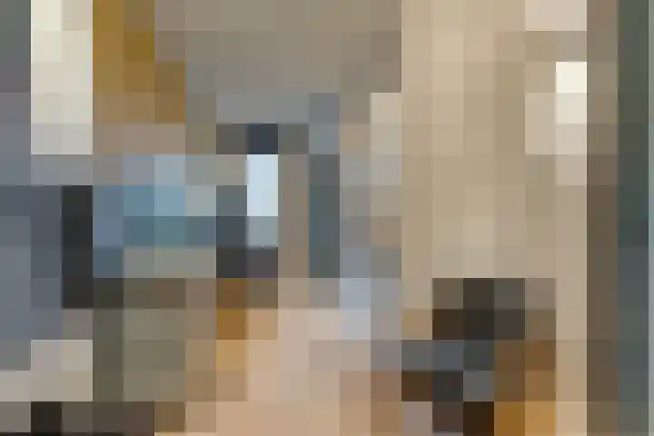 Honingbij 3 Waddinxveen thumbnail 34