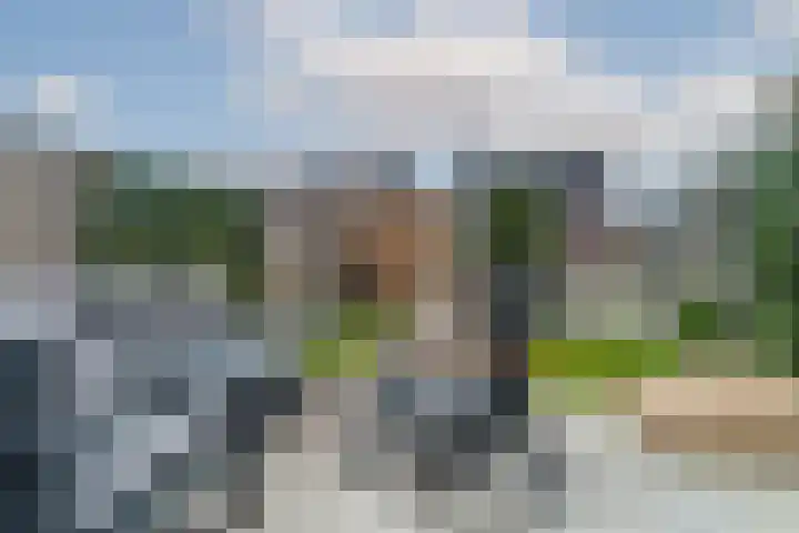 Honingbij 3 Waddinxveen thumbnail 37