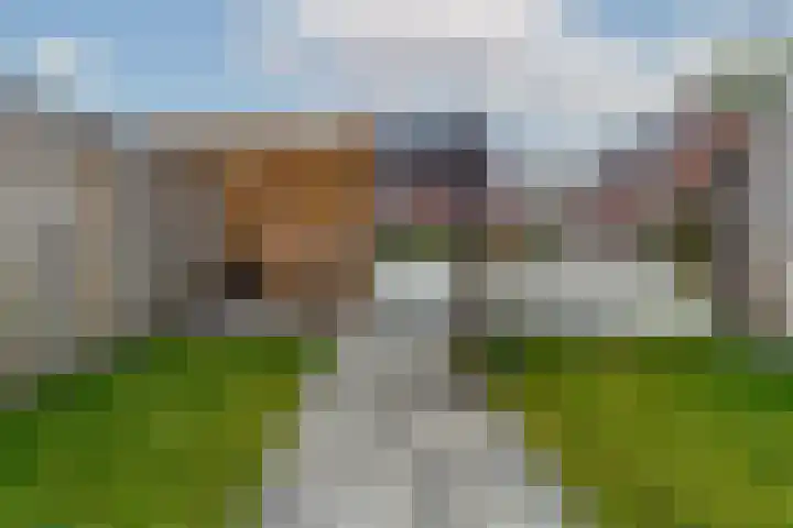 Honingbij 3 Waddinxveen thumbnail 38