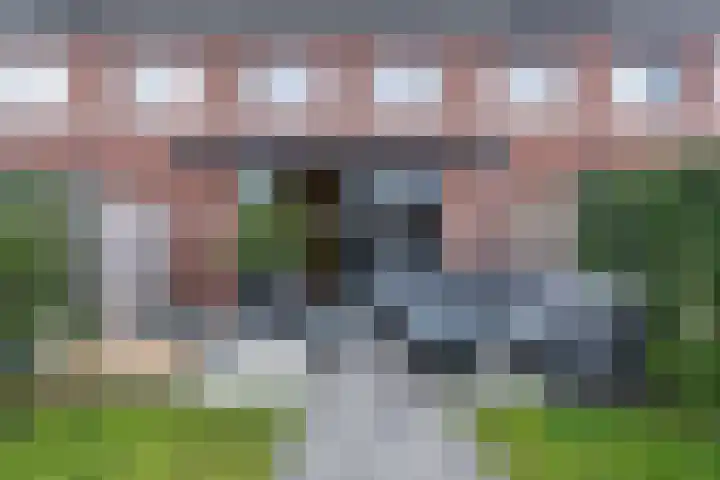 Honingbij 3 Waddinxveen thumbnail 39