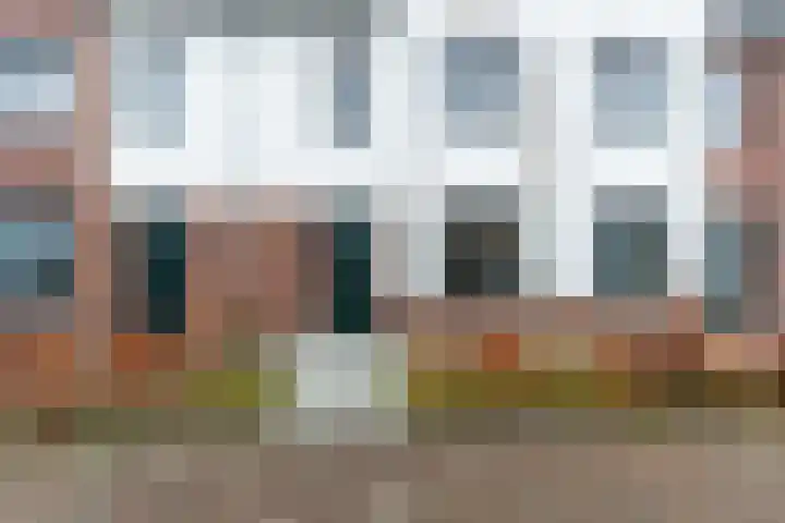 Honingbij 3 Waddinxveen thumbnail 4
