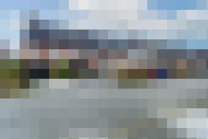Honingbij 3 Waddinxveen thumbnail 40