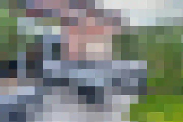 Honingbij 3 Waddinxveen thumbnail 41