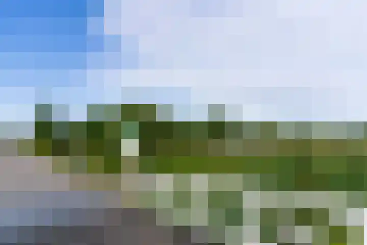 Honingbij 3 Waddinxveen thumbnail 42