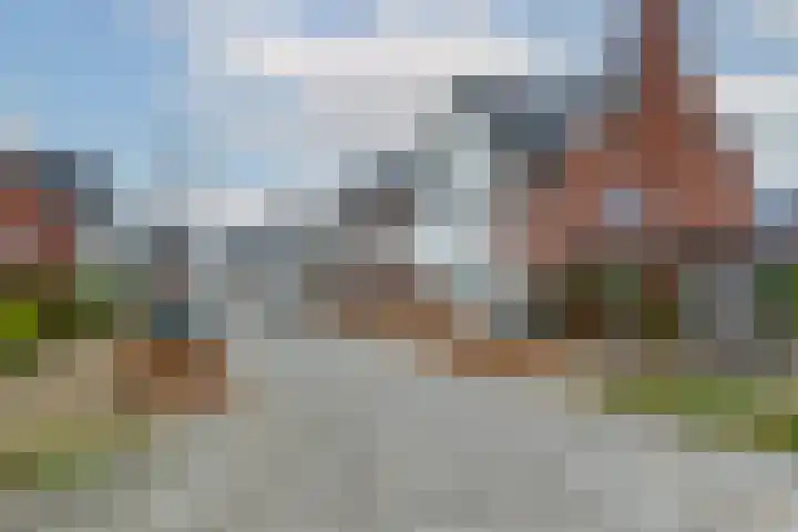 Honingbij 3 Waddinxveen thumbnail 43