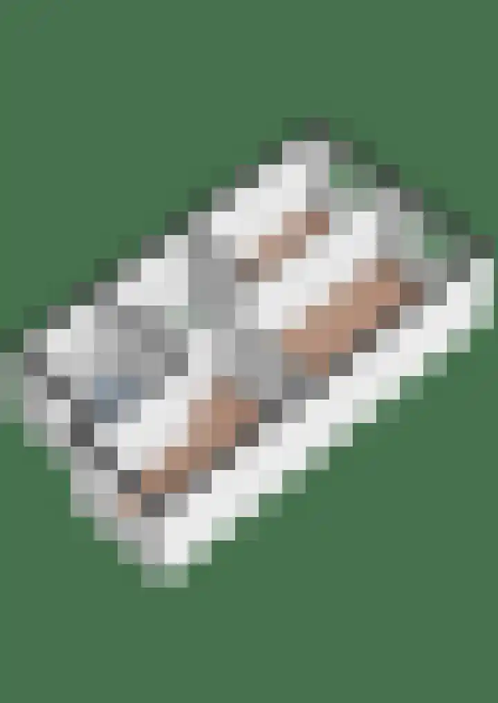 Honingbij 3 Waddinxveen thumbnail 49