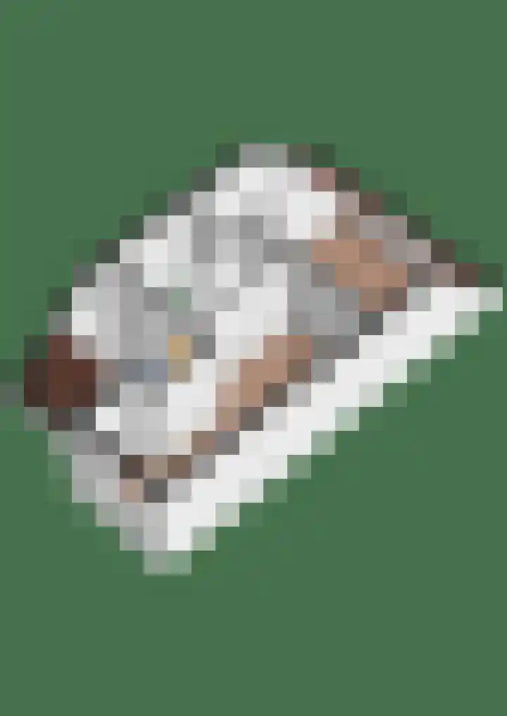 Honingbij 3 Waddinxveen thumbnail 51