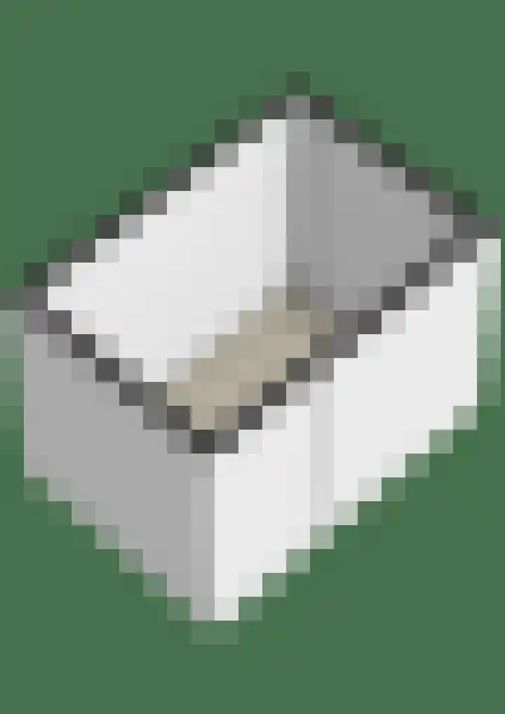 Honingbij 3 Waddinxveen thumbnail 55