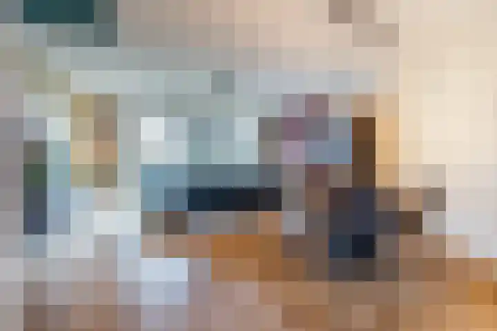 Honingbij 3 Waddinxveen thumbnail 6