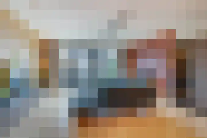 Honingbij 3 Waddinxveen thumbnail 7