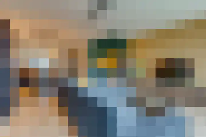 Honingbij 3 Waddinxveen thumbnail 9
