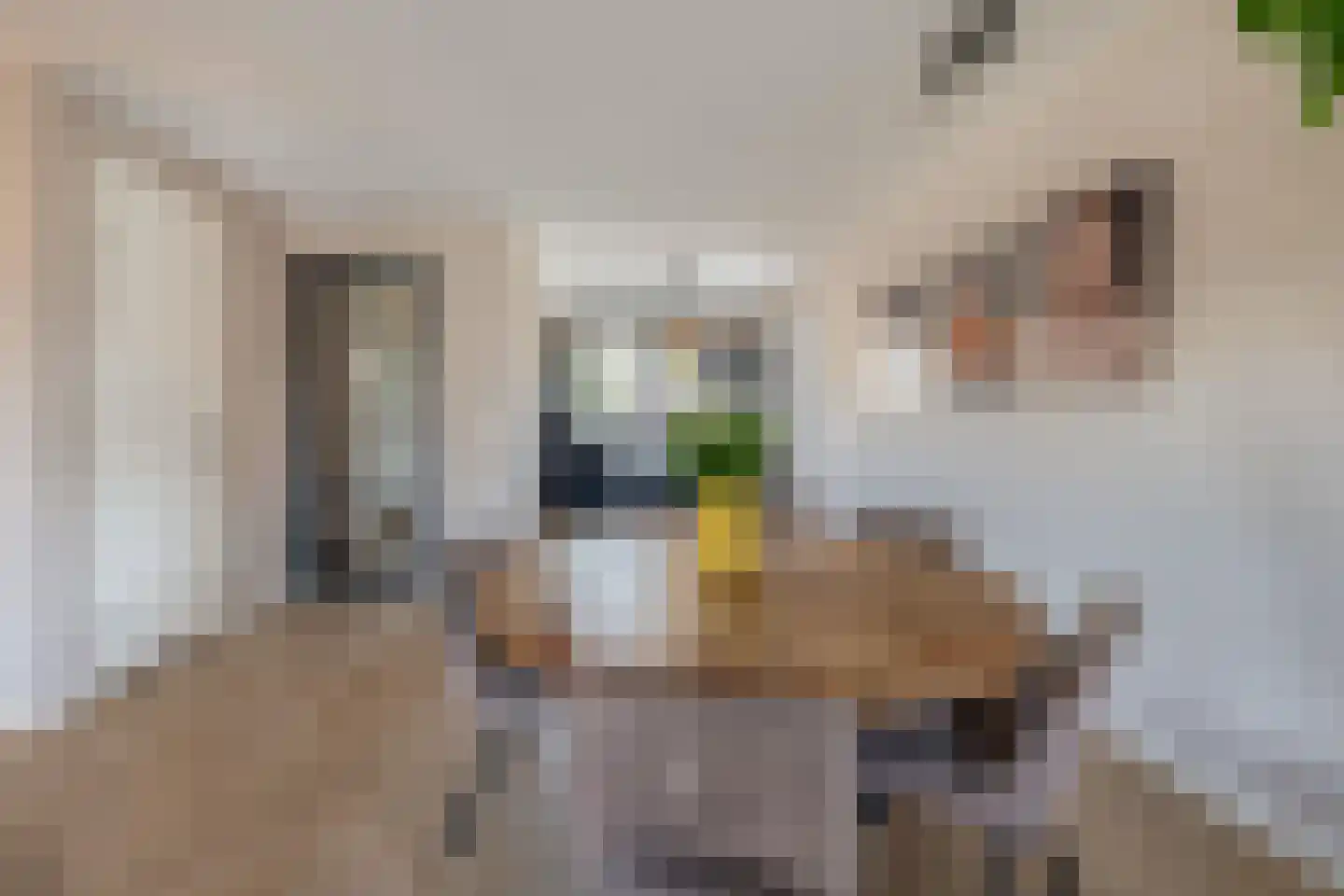 Honingbij 31 A Waddinxveen thumbnail 13