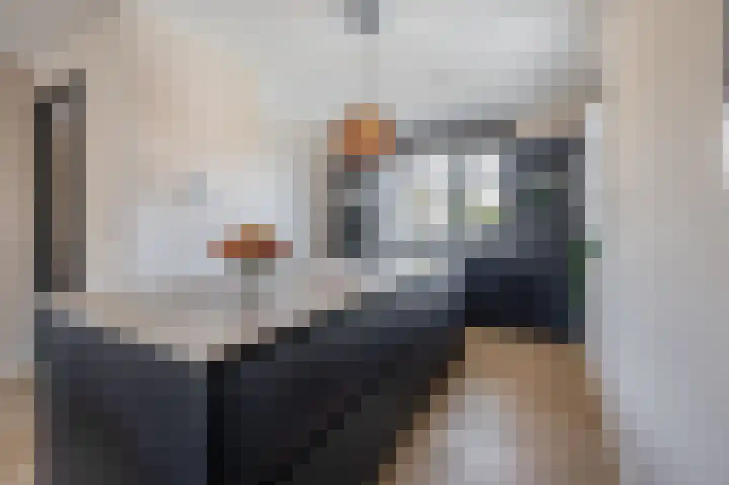 Honingbij 31 A Waddinxveen thumbnail 15