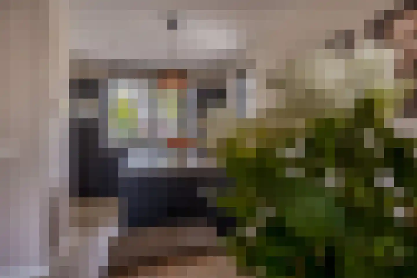 Honingbij 31 A Waddinxveen thumbnail 18