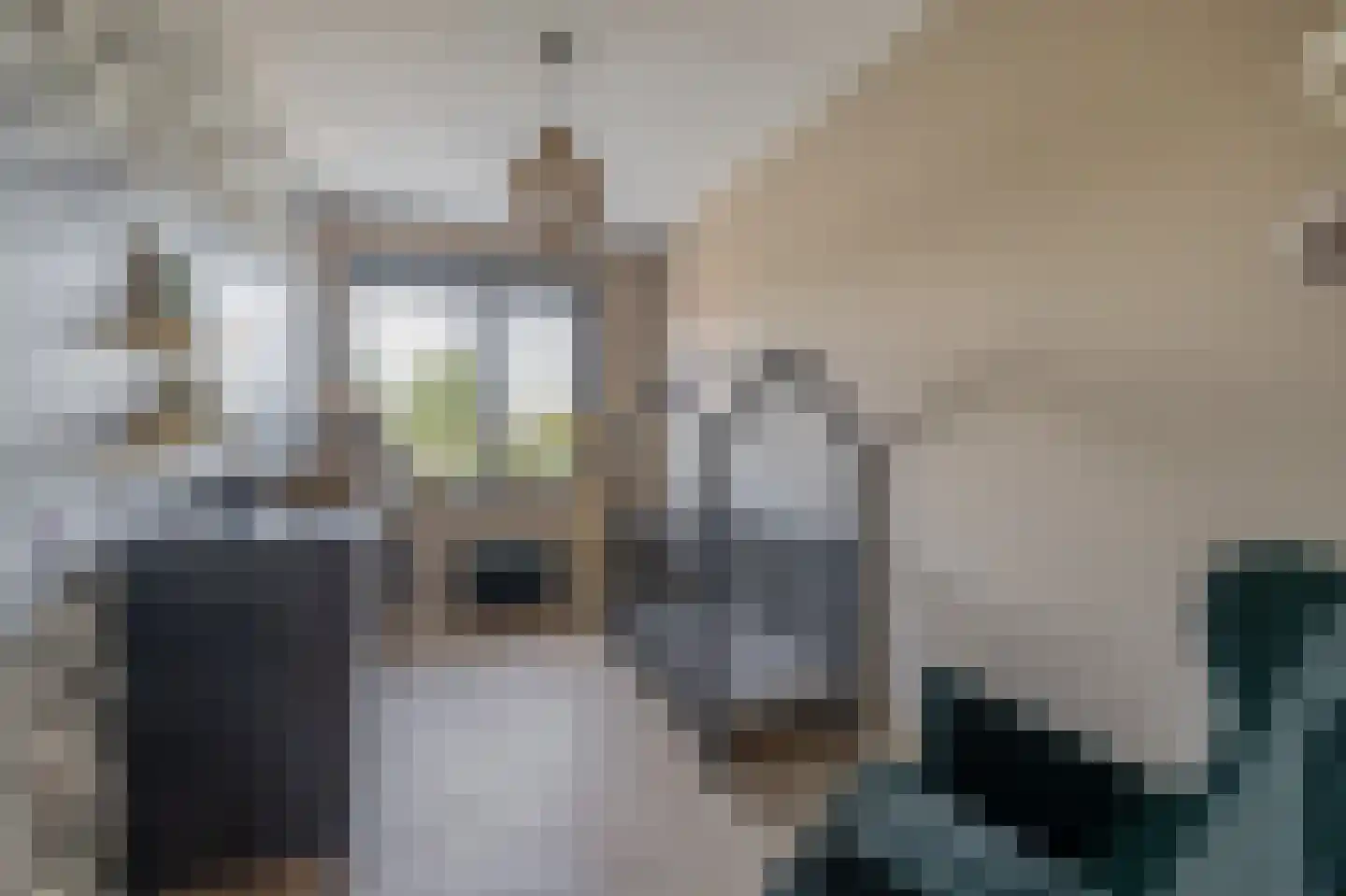 Honingbij 31 A Waddinxveen thumbnail 27