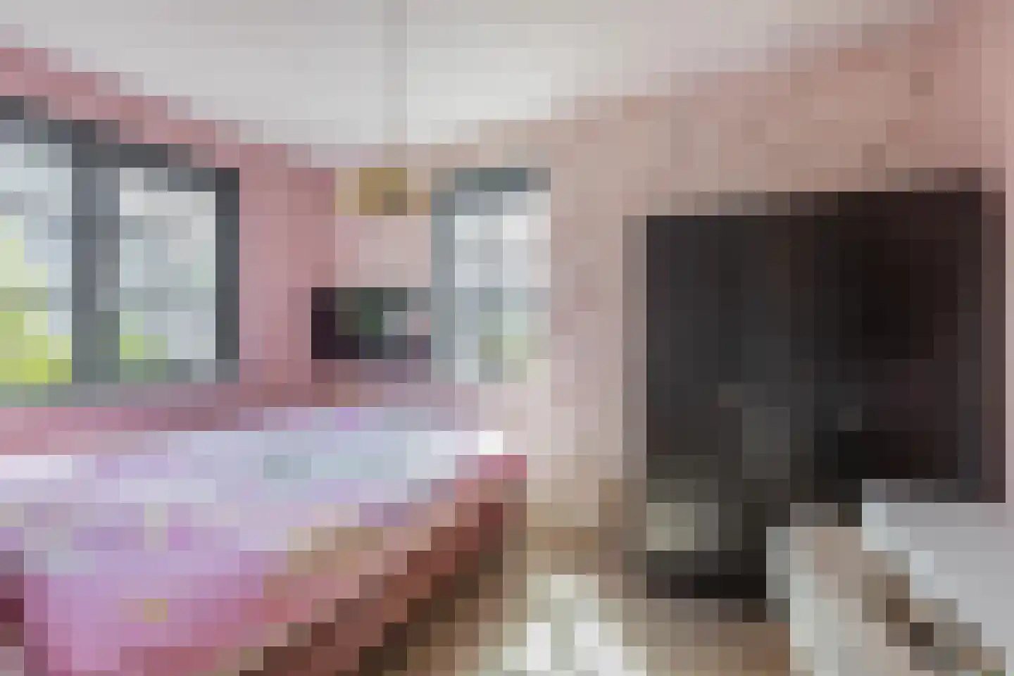 Honingbij 31 A Waddinxveen thumbnail 28