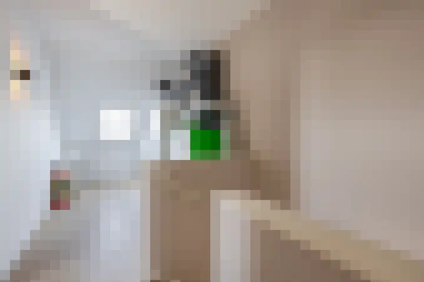 Honingbij 31 A Waddinxveen thumbnail 31