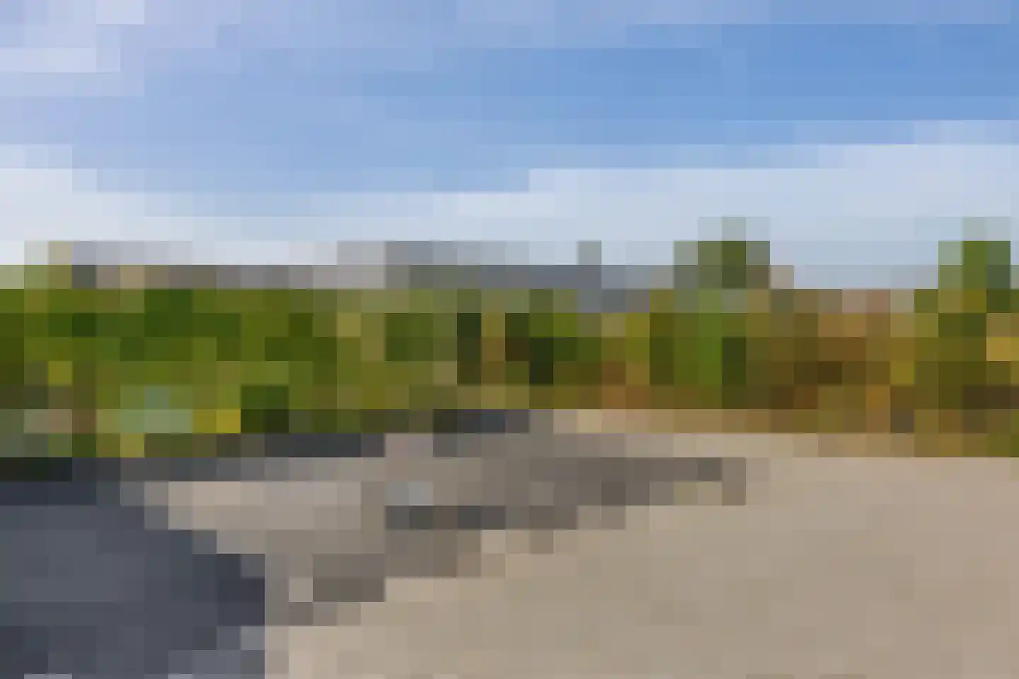 Honingbij 31 A Waddinxveen thumbnail 33