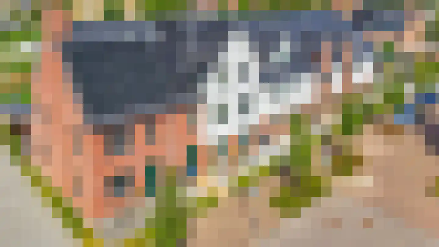 Honingbij 31 A Waddinxveen thumbnail 36