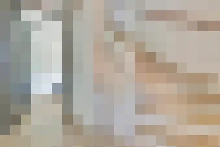 Honingbij 47 Waddinxveen thumbnail 10