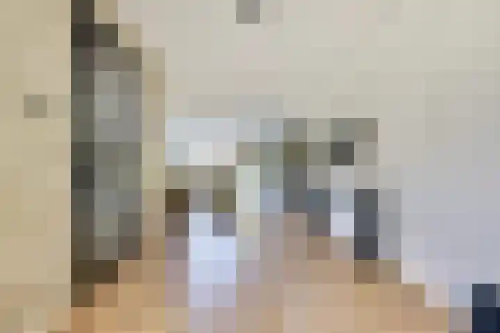 Honingbij 47 Waddinxveen thumbnail 11