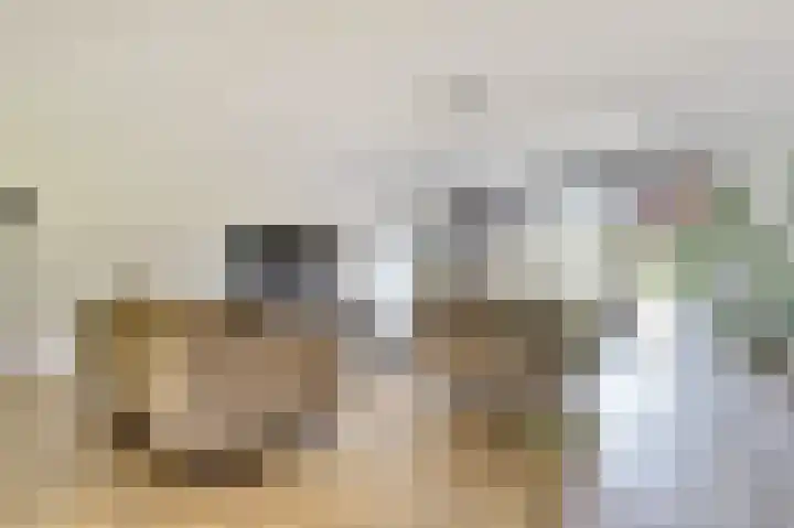 Honingbij 47 Waddinxveen thumbnail 13