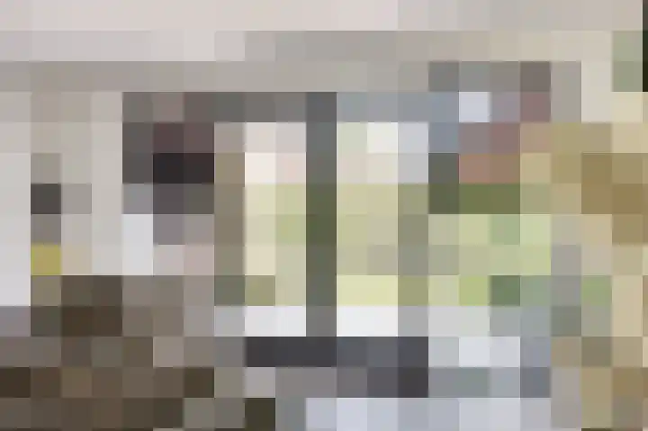Honingbij 47 Waddinxveen thumbnail 14