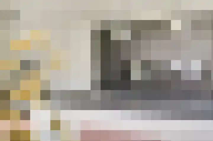 Honingbij 47 Waddinxveen thumbnail 17