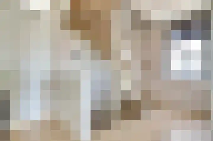 Honingbij 47 Waddinxveen thumbnail 18
