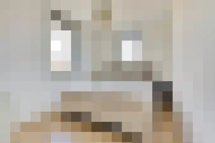 Honingbij 47 Waddinxveen thumbnail 19