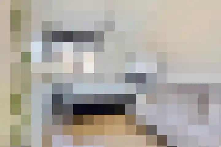 Honingbij 47 Waddinxveen thumbnail 21