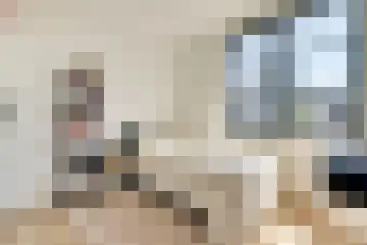 Honingbij 47 Waddinxveen thumbnail 24