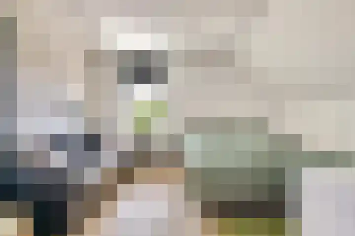 Honingbij 47 Waddinxveen thumbnail 30