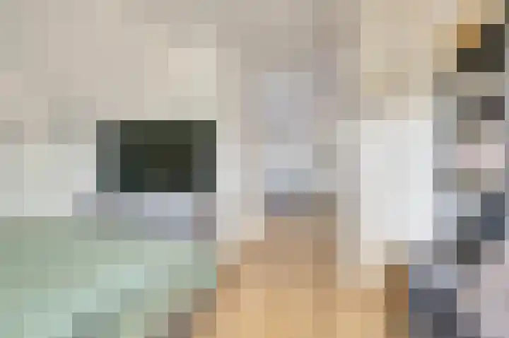 Honingbij 47 Waddinxveen thumbnail 31