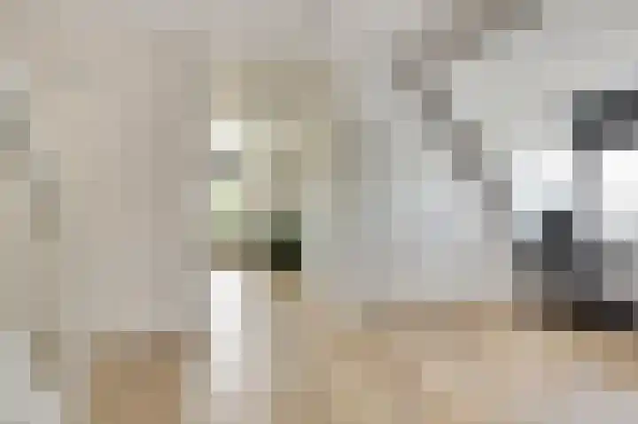 Honingbij 47 Waddinxveen thumbnail 32