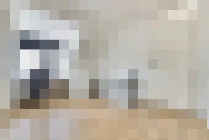 Honingbij 47 Waddinxveen thumbnail 33