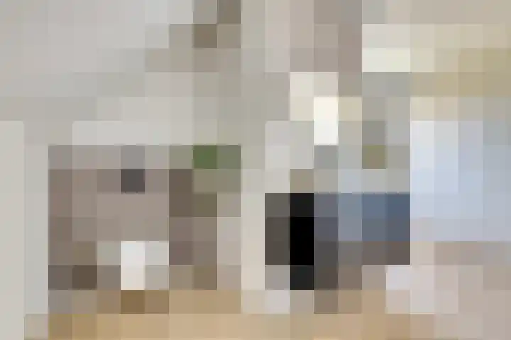 Honingbij 47 Waddinxveen thumbnail 36