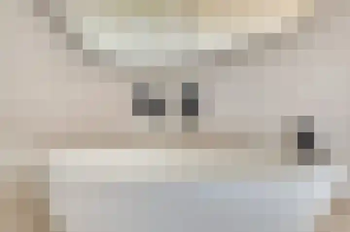 Honingbij 47 Waddinxveen thumbnail 37
