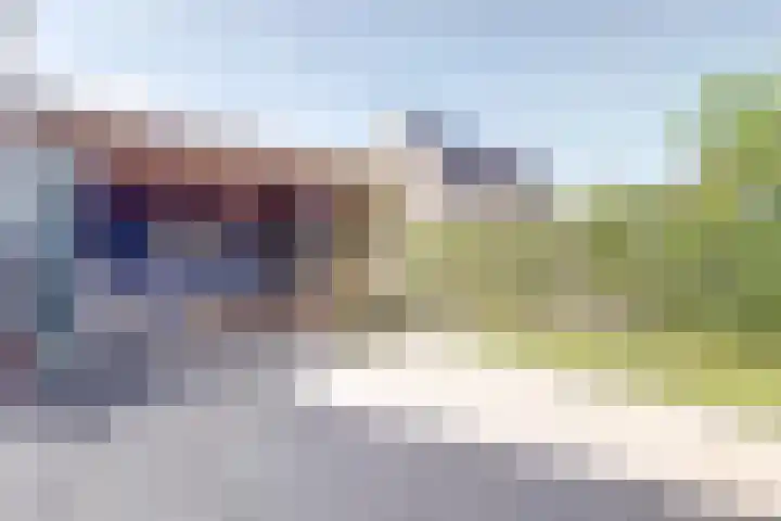 Honingbij 47 Waddinxveen thumbnail 38
