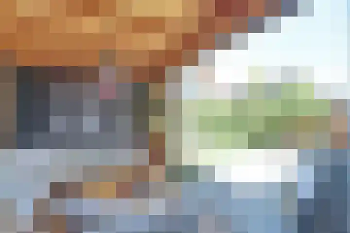 Honingbij 47 Waddinxveen thumbnail 39