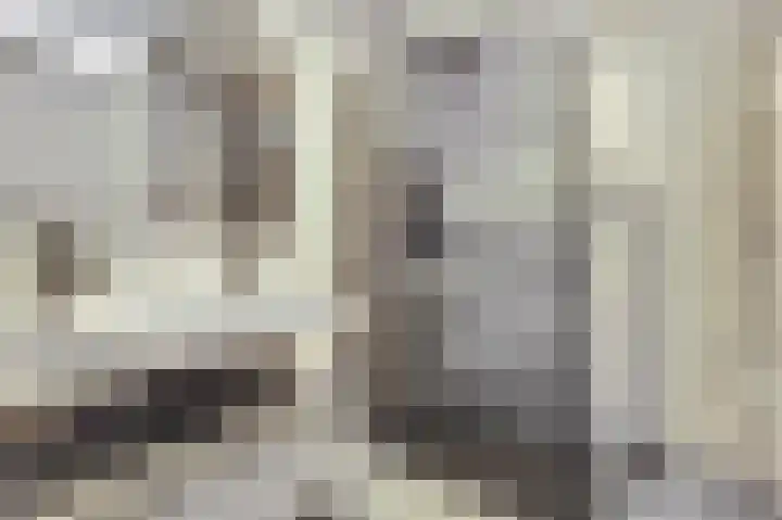 Honingbij 47 Waddinxveen thumbnail 4