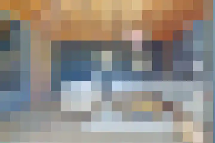 Honingbij 47 Waddinxveen thumbnail 40