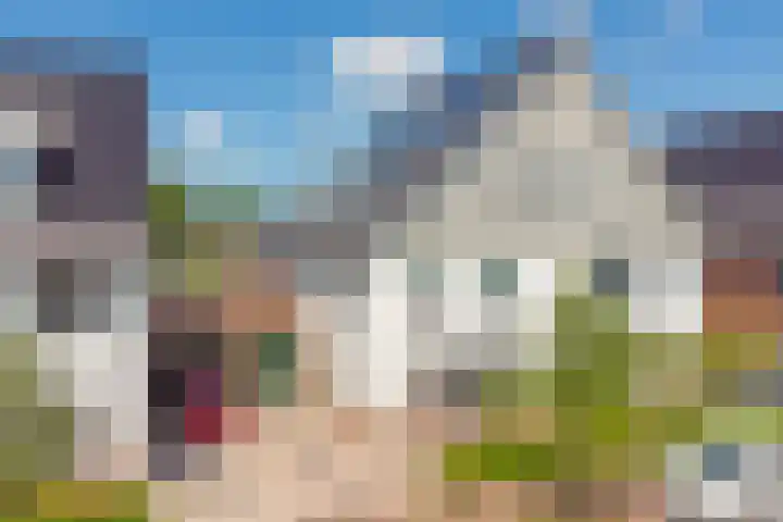 Honingbij 47 Waddinxveen thumbnail 41
