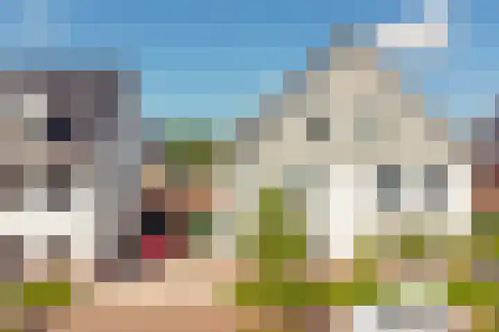Honingbij 47 Waddinxveen thumbnail 42