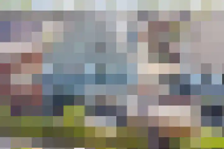 Honingbij 47 Waddinxveen thumbnail 44