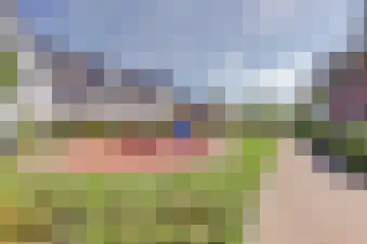 Honingbij 47 Waddinxveen thumbnail 45